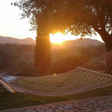 Agriturismo Il Raduno - Max Lelli 马西利亚纳 外观 照片