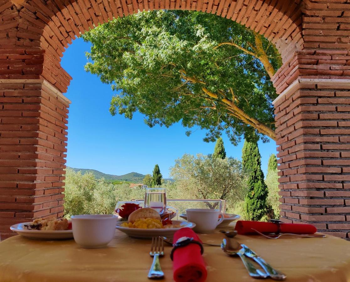 Agriturismo Il Raduno - Max Lelli 马西利亚纳 外观 照片