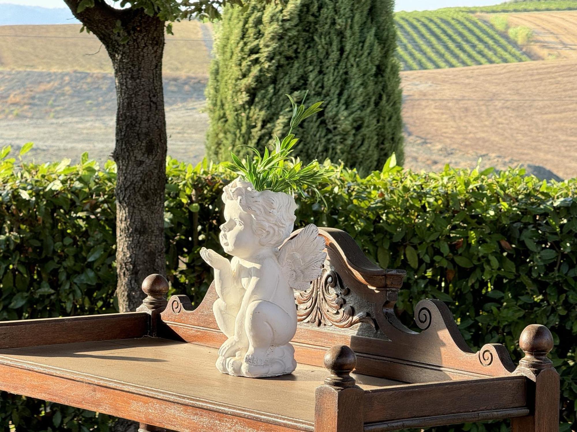 Agriturismo Il Raduno - Max Lelli 马西利亚纳 外观 照片