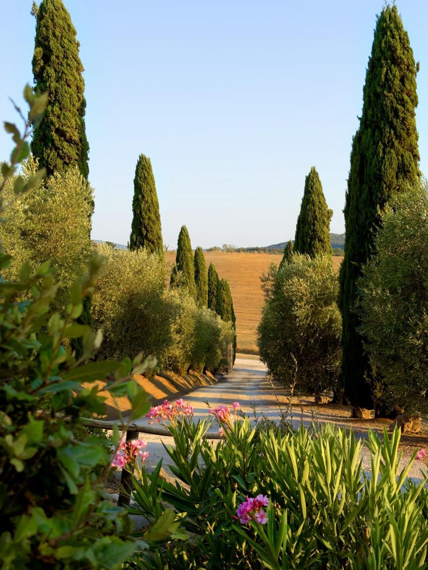 Agriturismo Il Raduno - Max Lelli 马西利亚纳 外观 照片