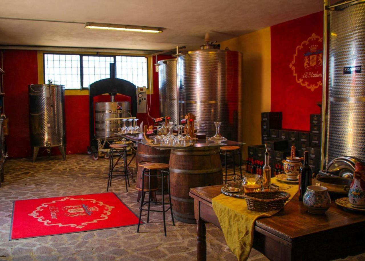 Agriturismo Il Raduno - Max Lelli 马西利亚纳 外观 照片
